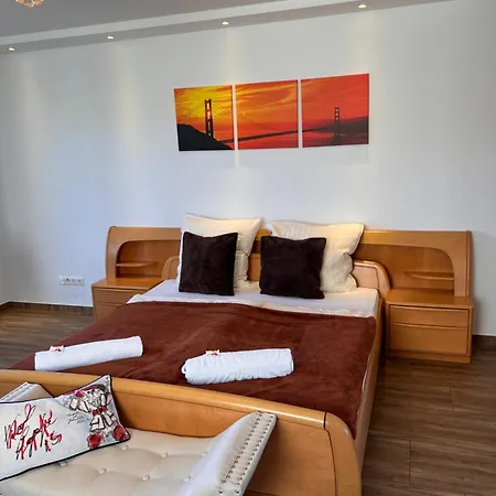 Lux Business Apartment